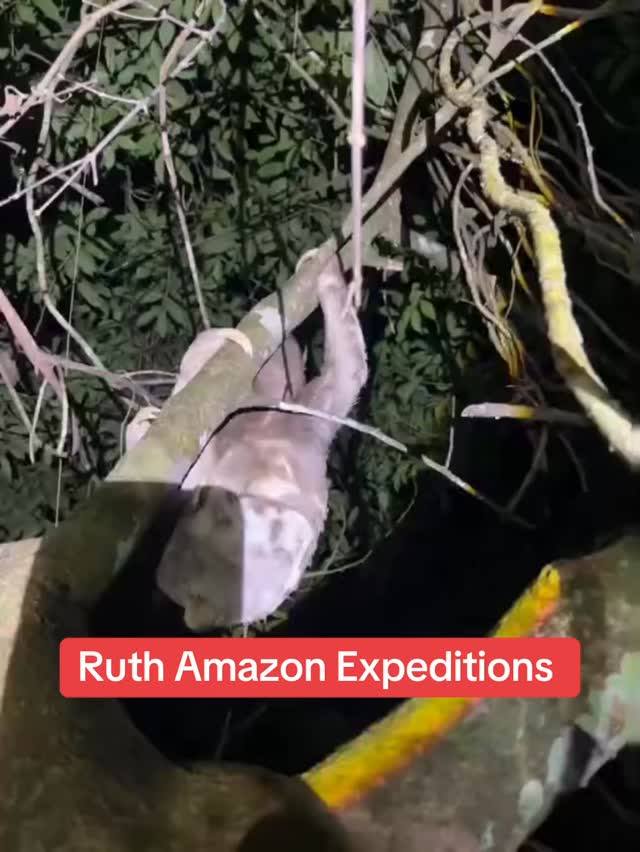 Ruth Amazon Expeditions